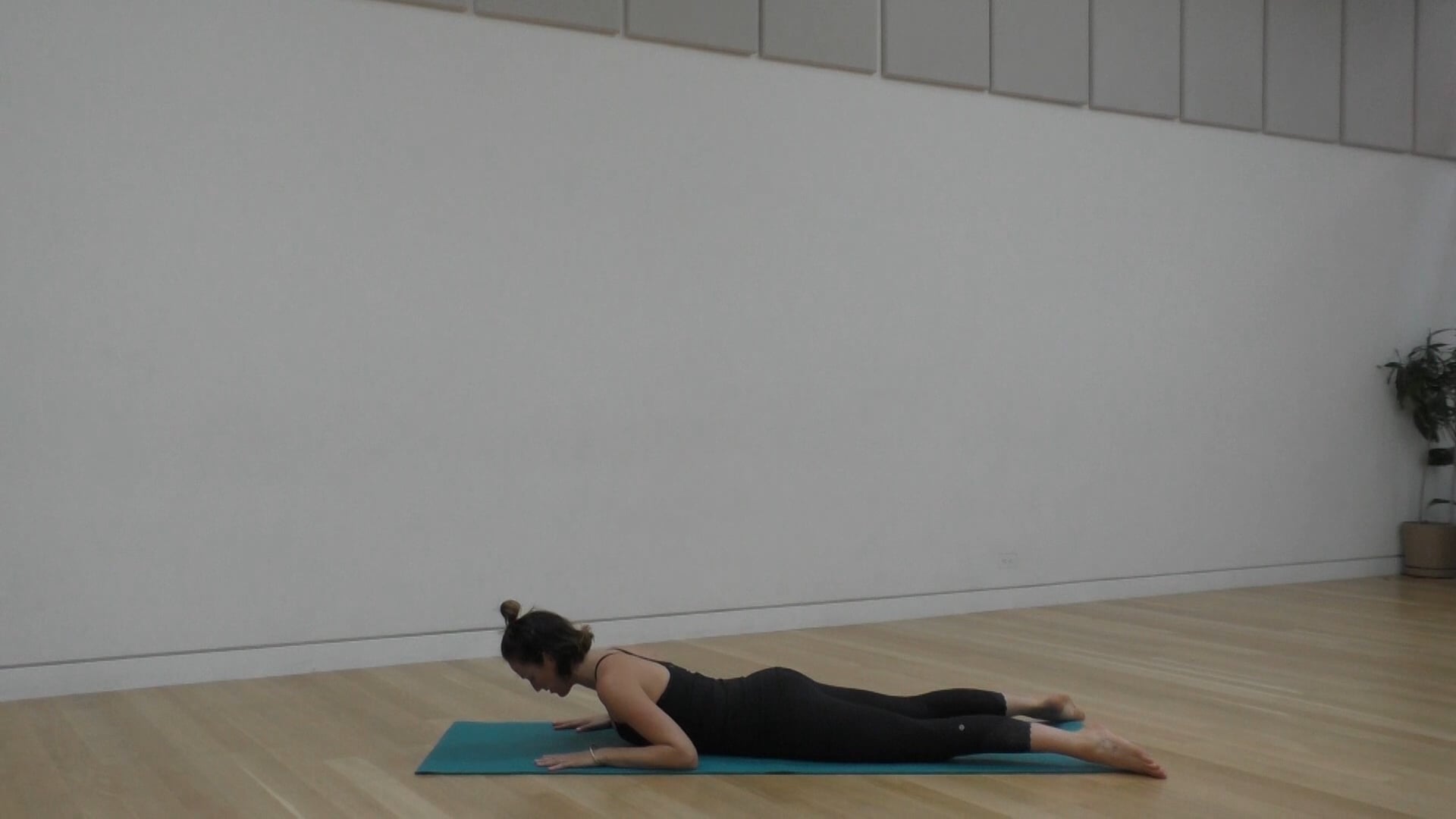  10 Mins - Back - No Props (Postnatal)