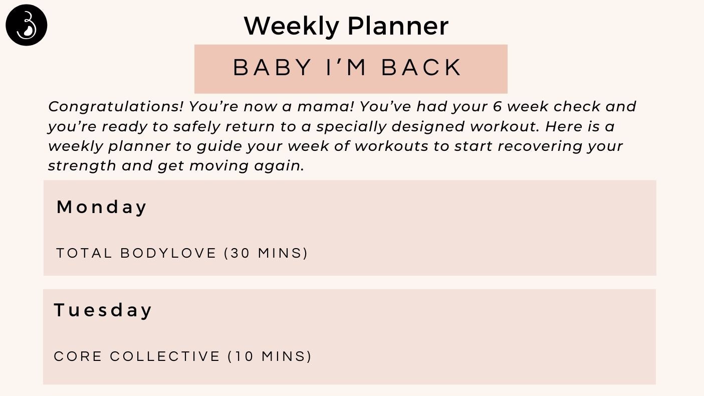 Baby I'm Back Weekly Workout Planner