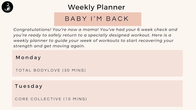 Baby I'm Back Weekly Workout Planner
