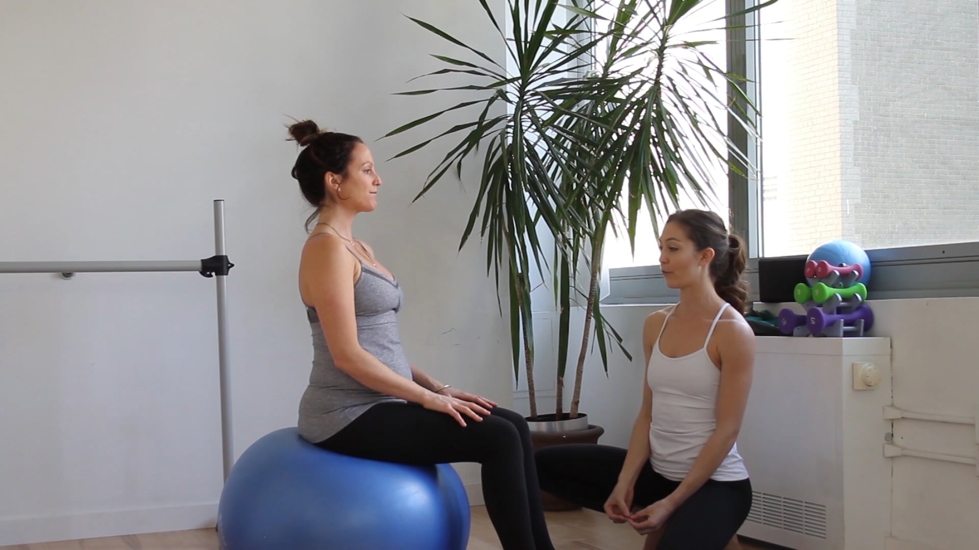 11 Mins - Core - Physio Ball (Prenatal)