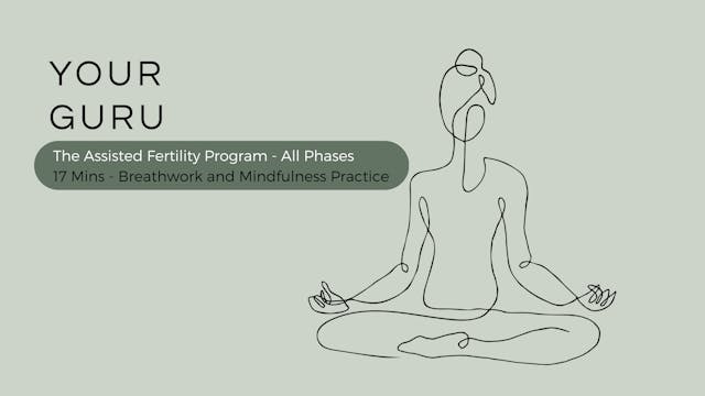 17 Mins - Breathwork & Mindfulness Practice - All Phases