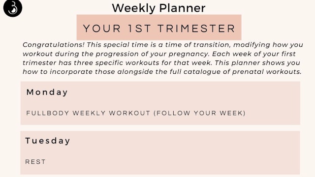 Weekly Workout Planners (Prenatal)