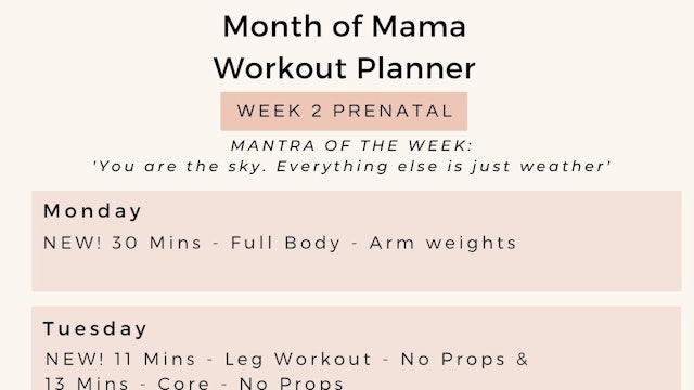 Week 2 - Weekly Workout Planner - Prenatal.jpg