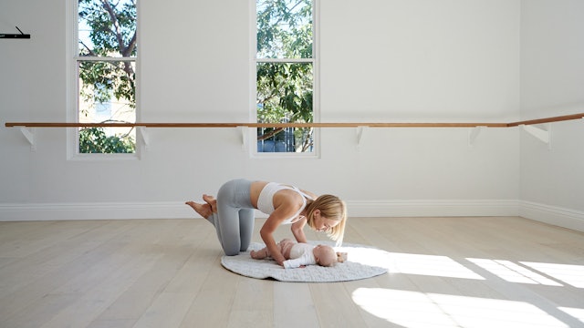 Postnatal - Total Bodylove - Full Body Workouts