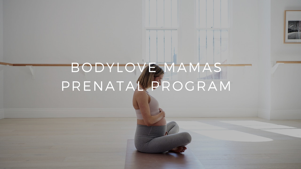 Everything you need to know about the Prenatal Workouts & Programs.
