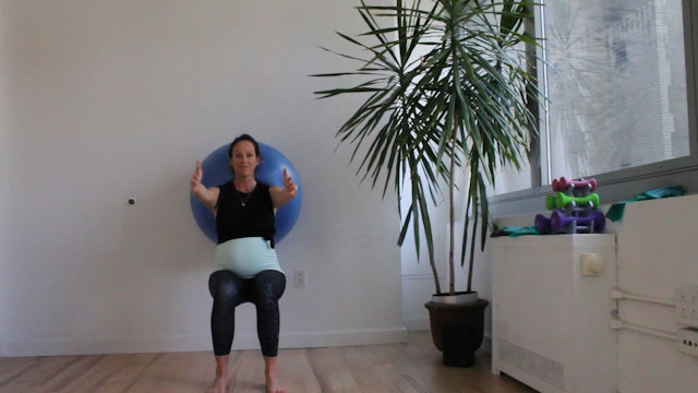 3 Mins - Butt - Physio Ball  - SI Joint Pain (Prenatal)