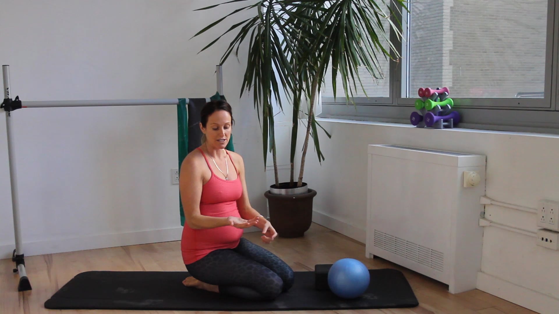 6 Mins - Pelvic Floor Series - Small Ball & Block (Prenatal)