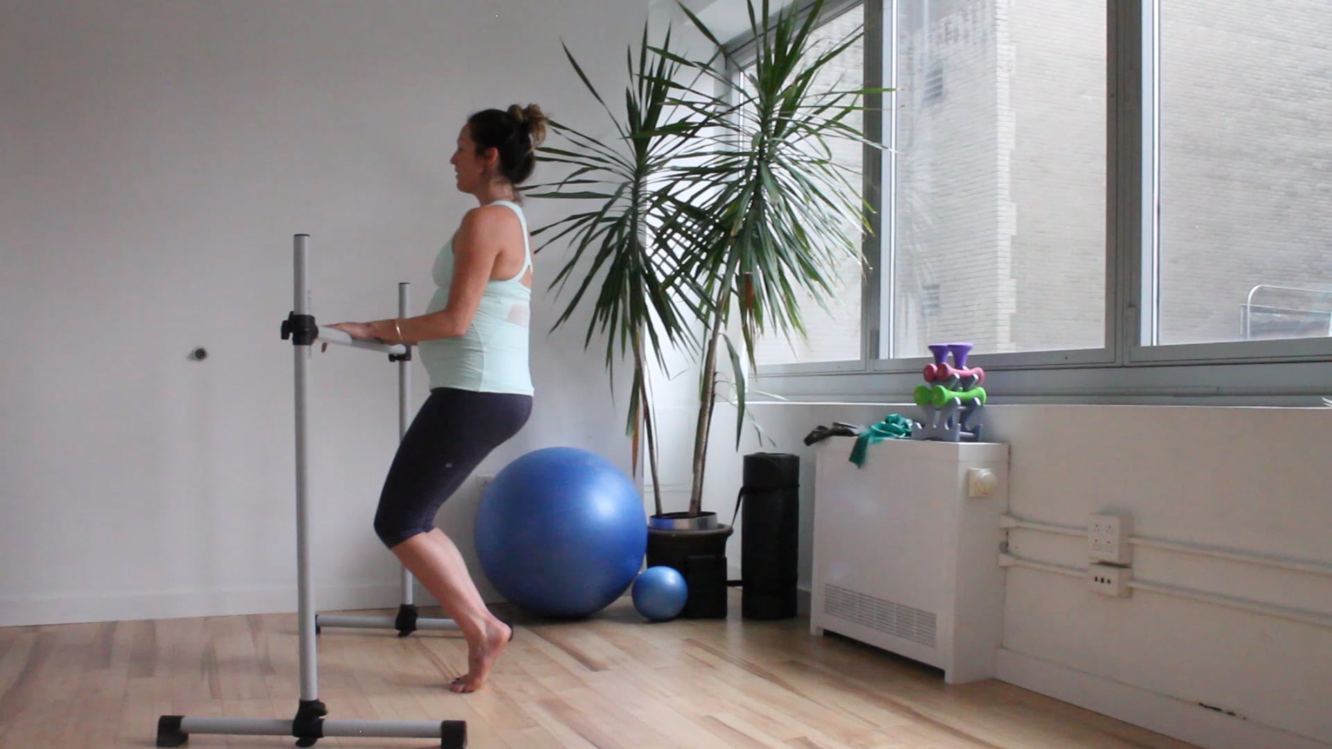 11 Mins - Full Body - Barre & Light Hand Weights - (Prenatal)