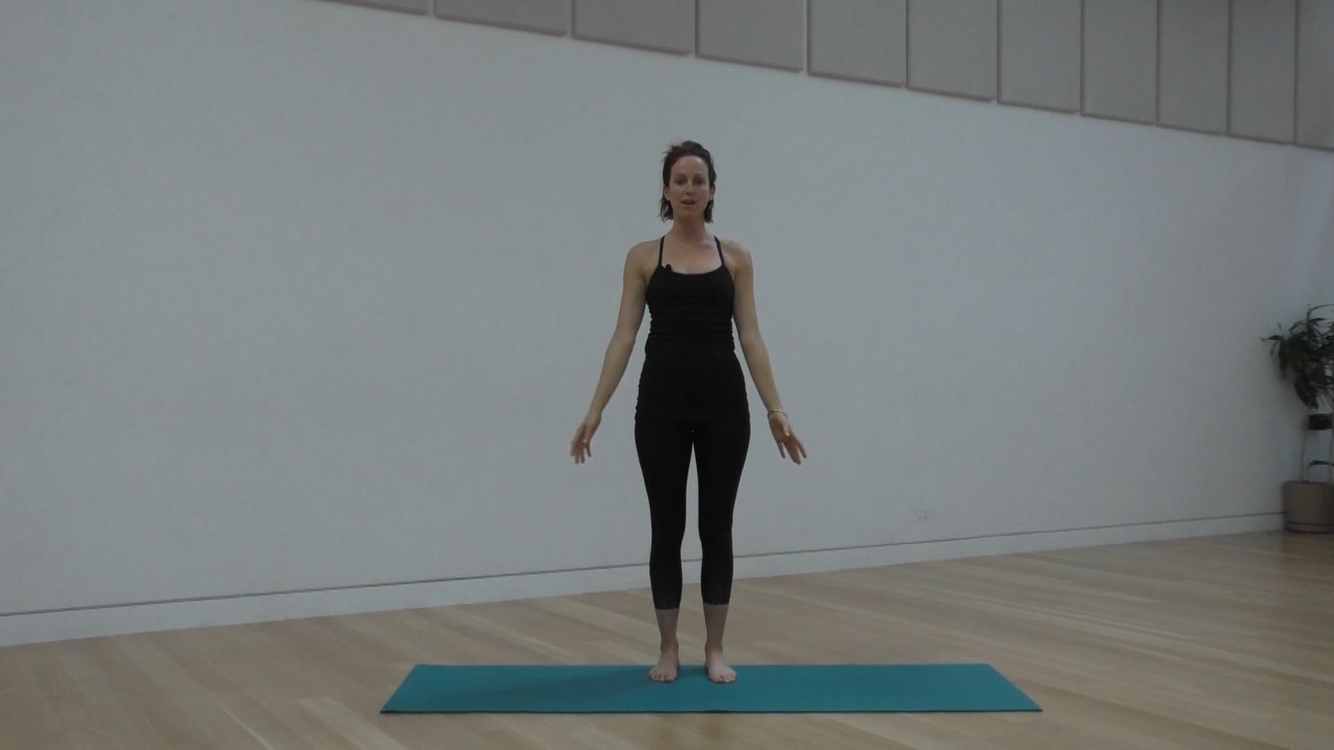 30 Mins - Full Body - No Props (Prenatal) 