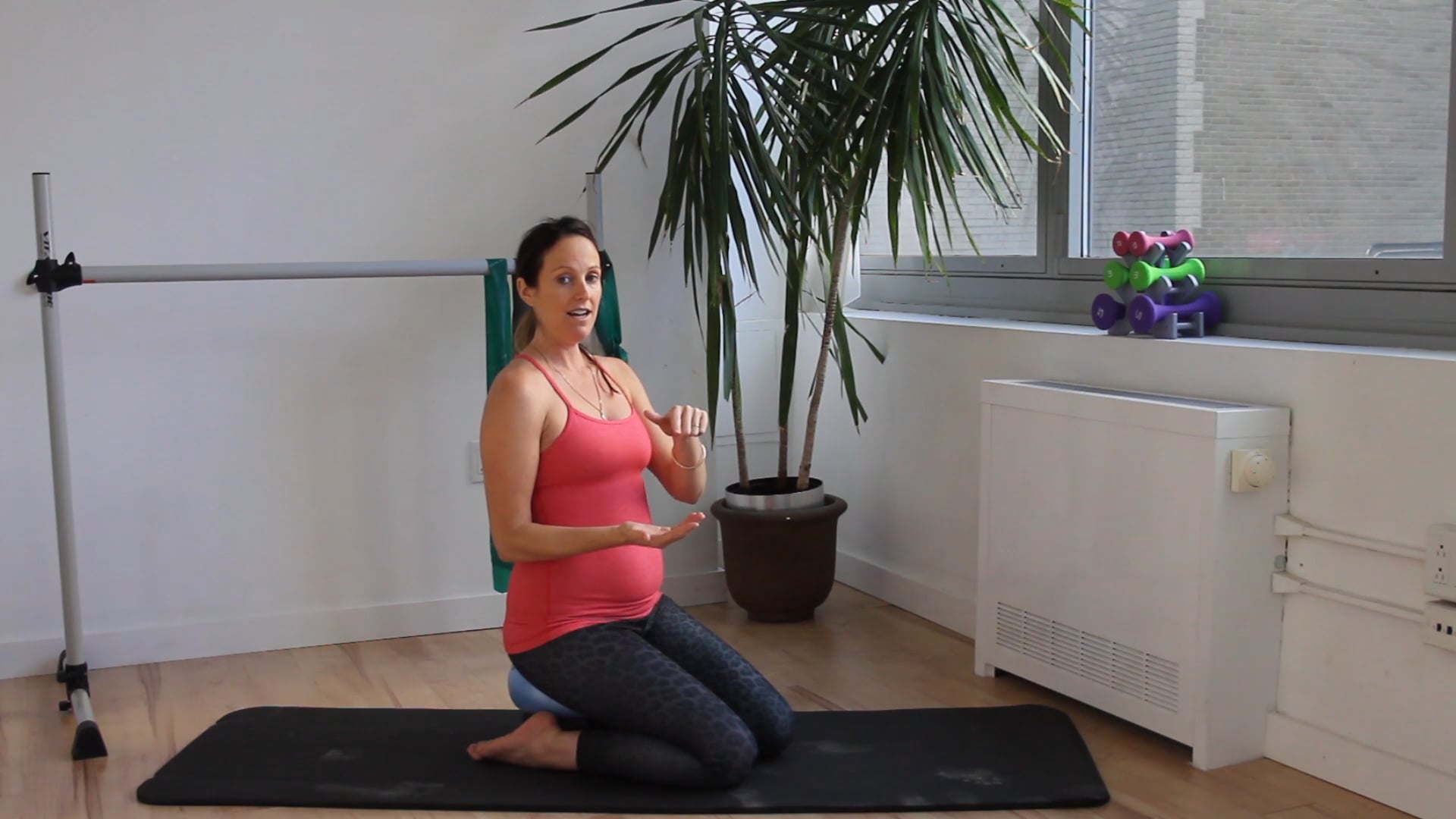 6 Mins - Pelvic Floor Series - Small Ball & Block (Prenatal)
