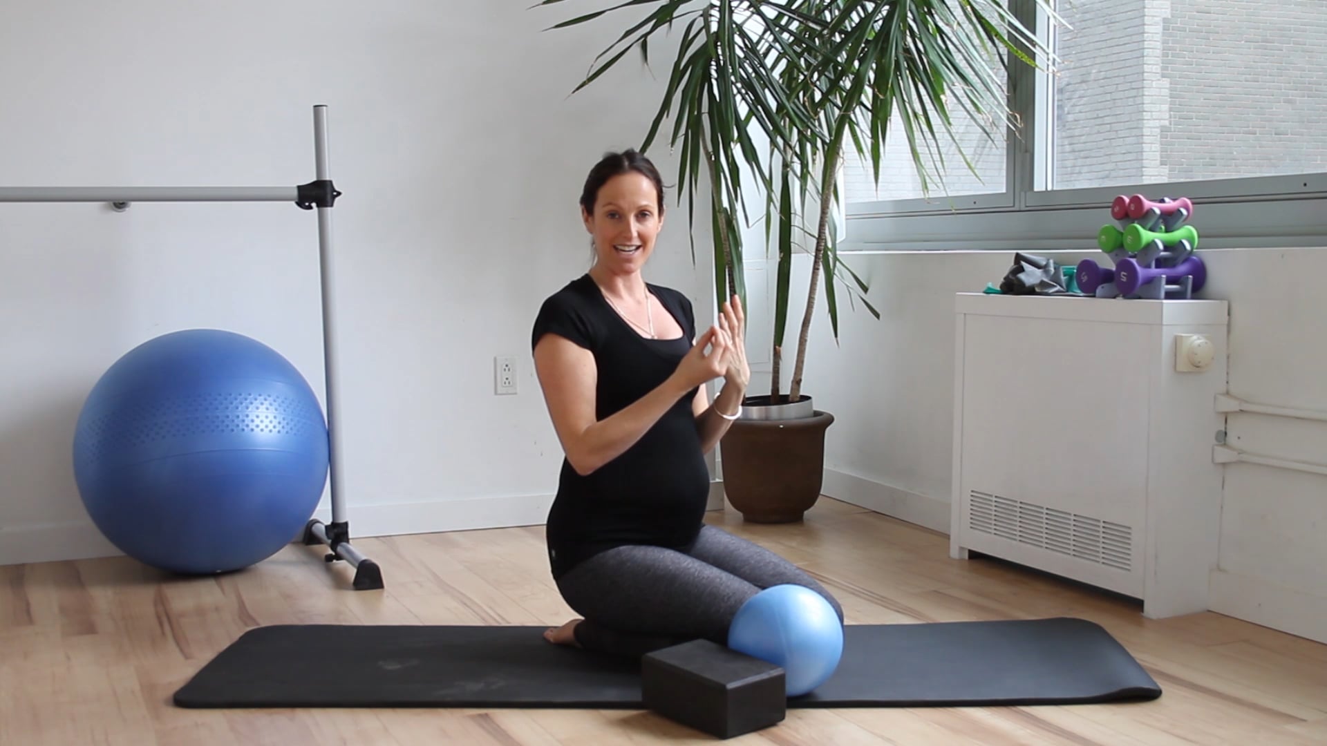 6 Mins - Pelvic Floor Series - Small Ball & Block (Prenatal)