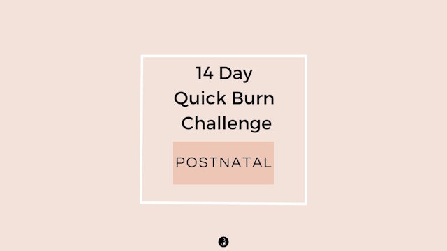 Postnatal - 14 Day Quick Burn Challenge - Only 15 Minutes A Day Or Less!