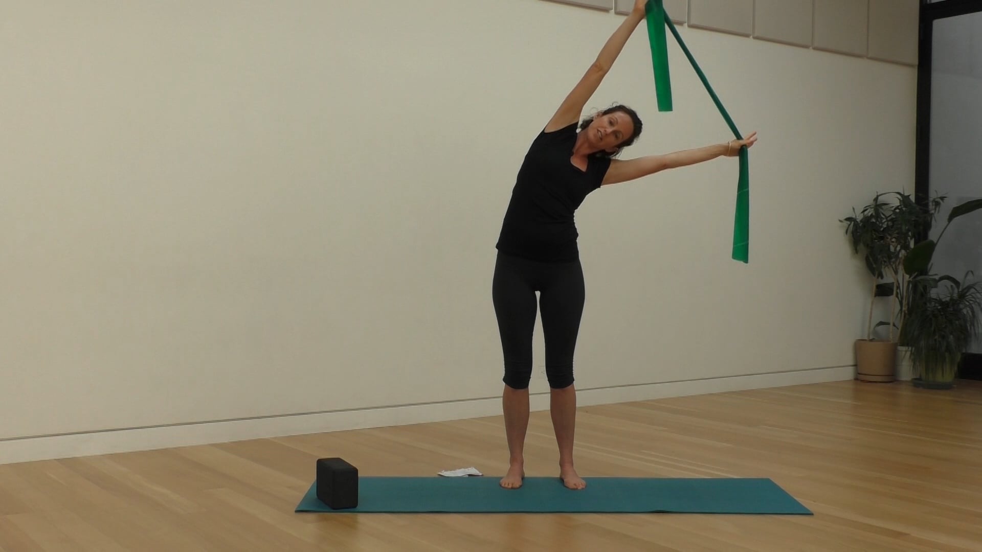 46 Mins - Full Body - Block & Theraband (Prenatal)