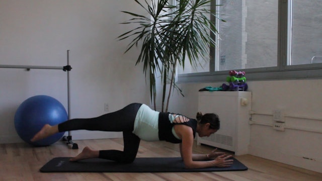 11 Mins - Full Body - No Props (Prenatal)