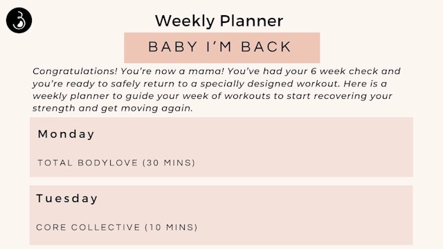 Weekly Workout Planners (Postnatal)