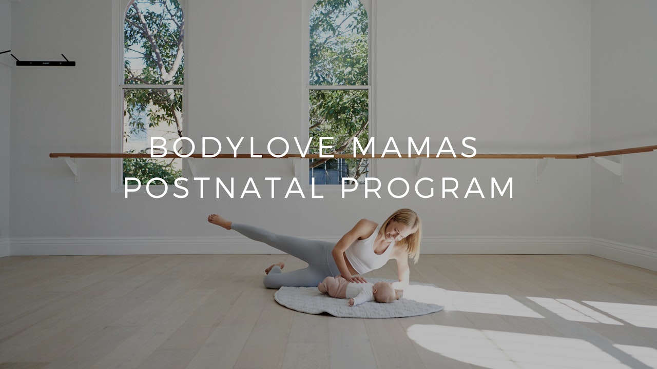Everything you need to know about the Postnatal Workouts & Programs.