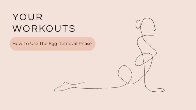 How To Use The Egg Retrieval Phase