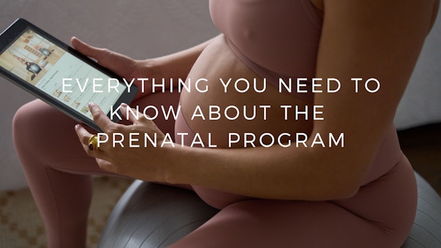 Everything you need to know about our Prenatal Workouts & Programs