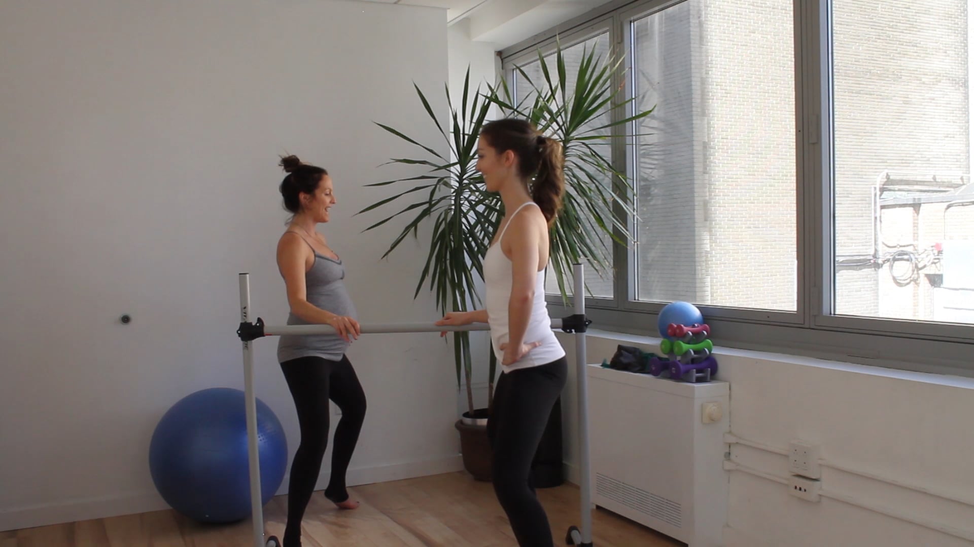 10 Mins - Legs & Booty - Barre (Chair) (Prenatal)