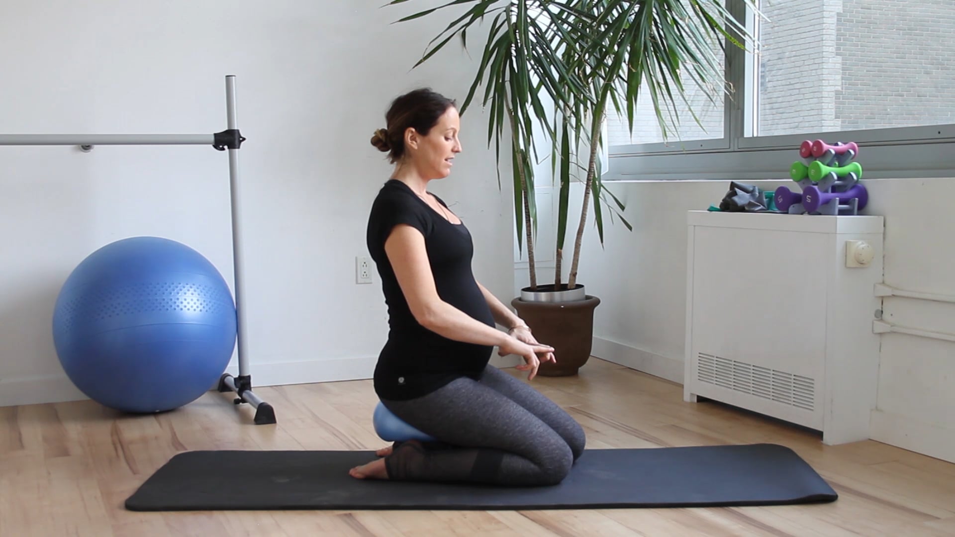 4 Mins - Pelvic Floor Series - Small Ball & Block (Prenatal)