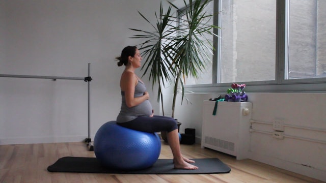 11 Mins - Full Body - Physio Ball & Theraband (Prenatal)