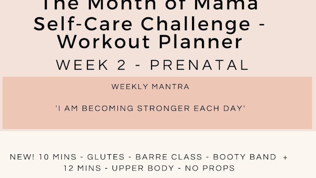 Week 2 Workout Planner - Prenatal.jpg