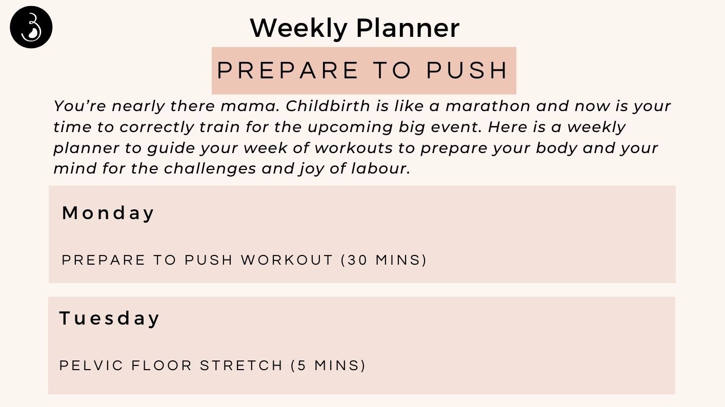 Prepare To Push Weekly Workout Planner