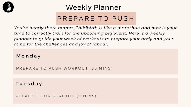 Prepare To Push Weekly Workout Planner