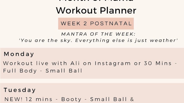 Week 2 - Weekly Workout Planner - Postnatal.jpg
