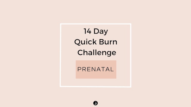 Prenatal - 14 Day Quick Burn Challenge - Only 15 Minutes A Day Or Less!