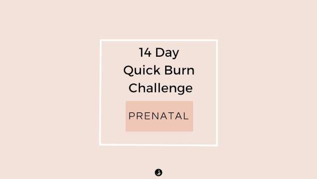 Prenatal - 14 Day Quick Burn Challenge - Only 15 Minutes A Day Or Less!