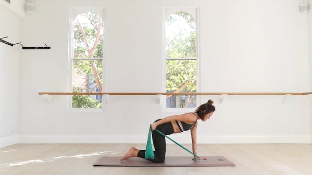 12 Mins - Postural - Theraband (Postn...