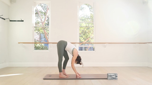 27 Mins - Full Body With Cardio  - Yoga Block (Strong Mama) 