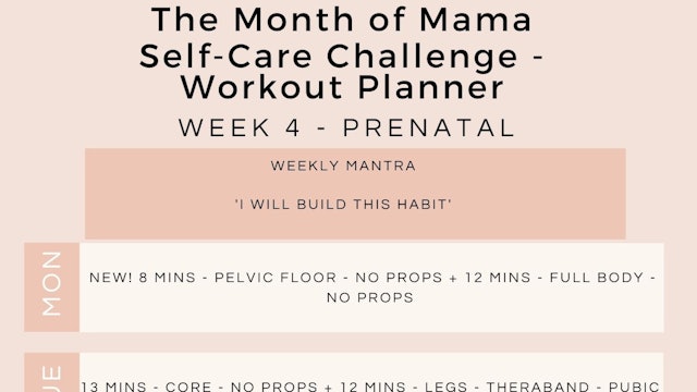 Week 4 Workout Planner - Prenatal.jpg