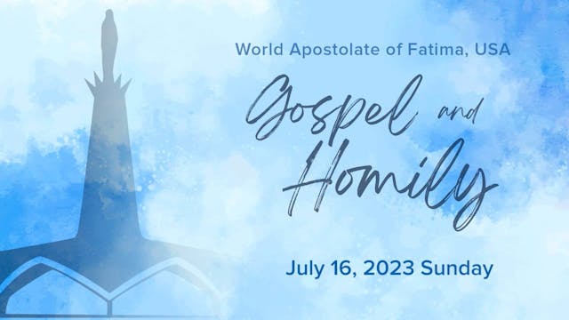 Gospel and Homily July 16 2023
