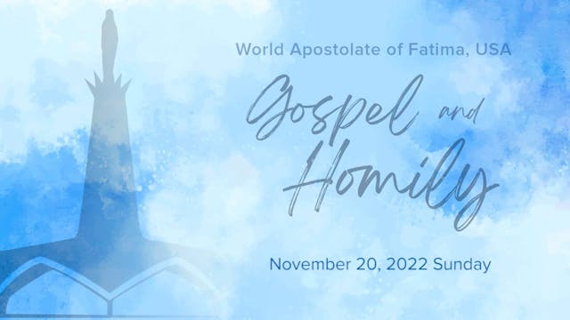 Gospel and Homily November 20, 2022