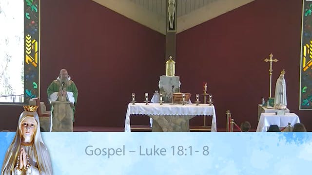 Gospel and Homily October 16 2022