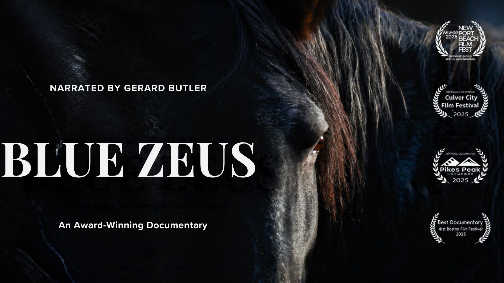 Blue Zeus The Movie (2026)