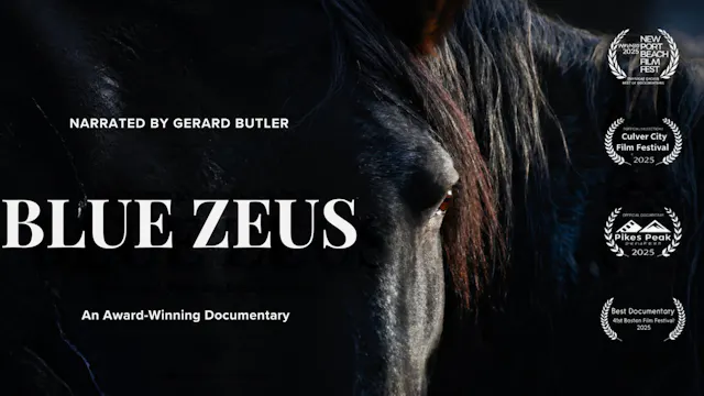 Blue Zeus The Movie