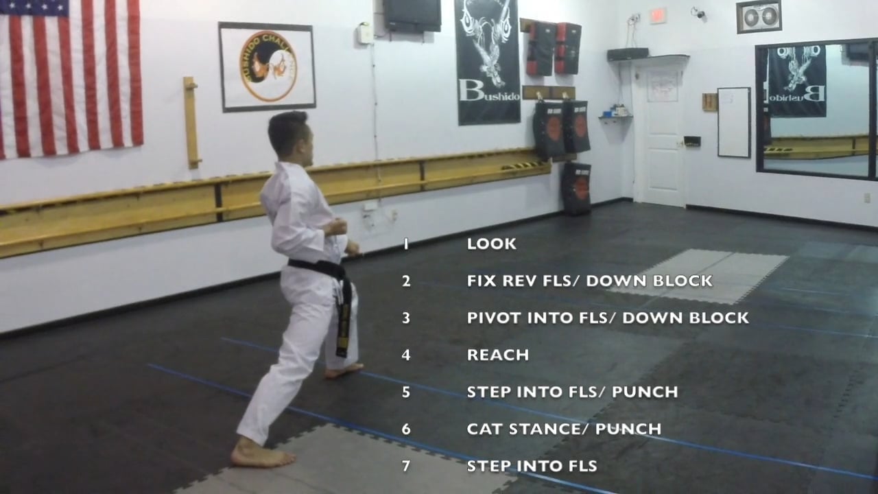 8-White Belt Form
