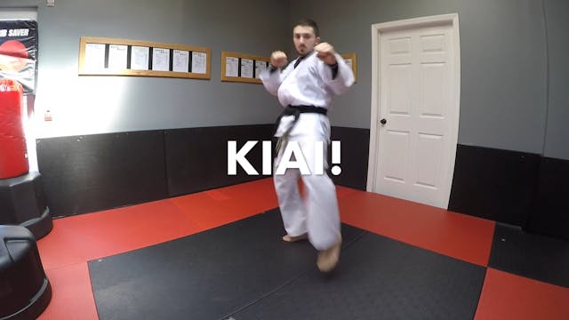 12-Blue Belt Kicks