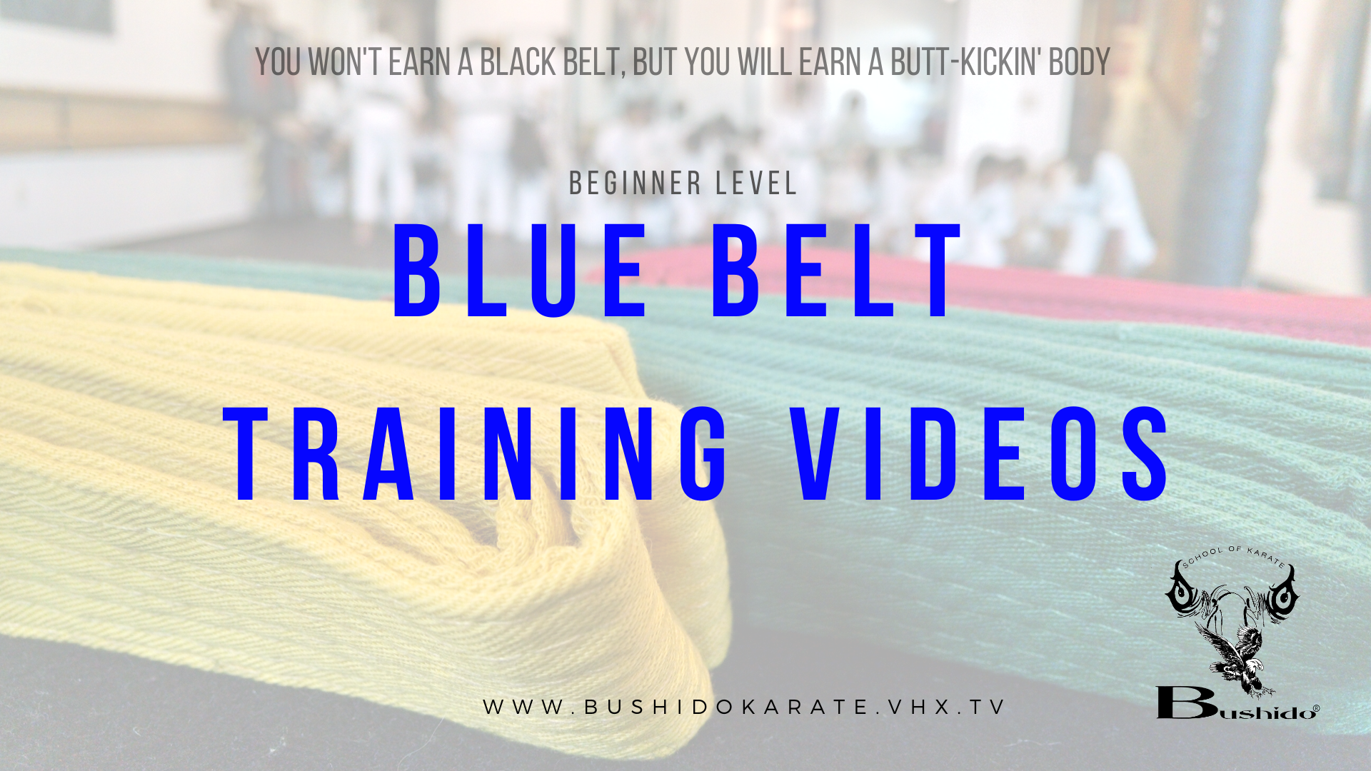 Blue Belt