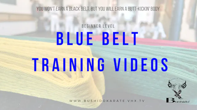 Blue Belt