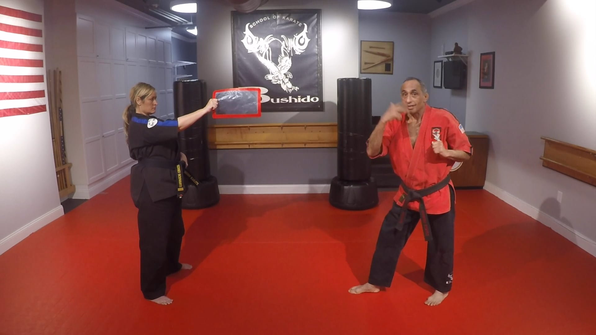 27-Green Belt Kicks