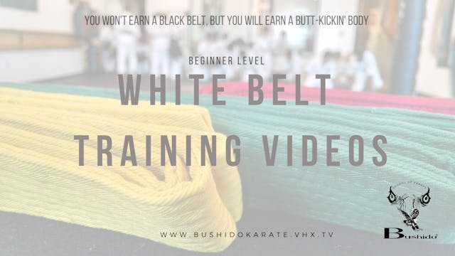 Beginner Level: White Belt, 1st level