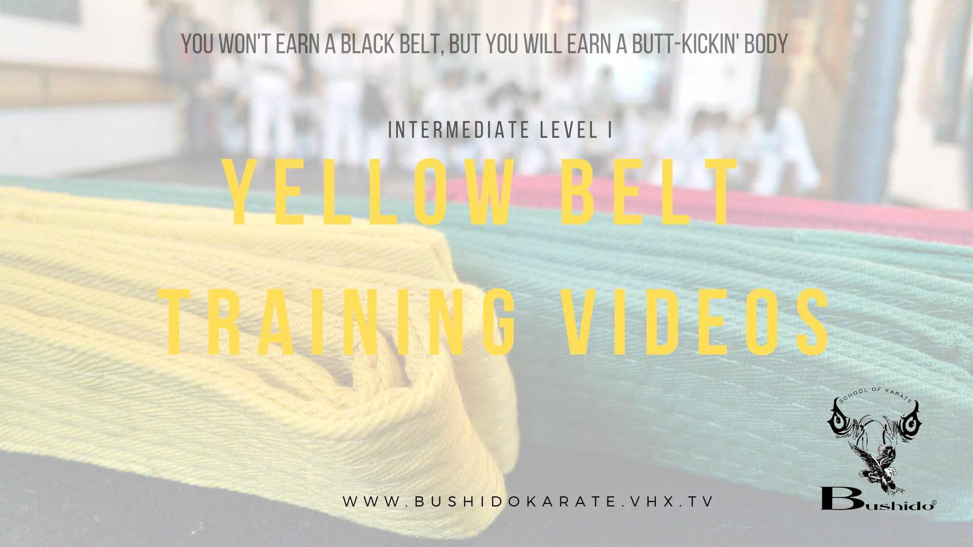 Yellow Belt