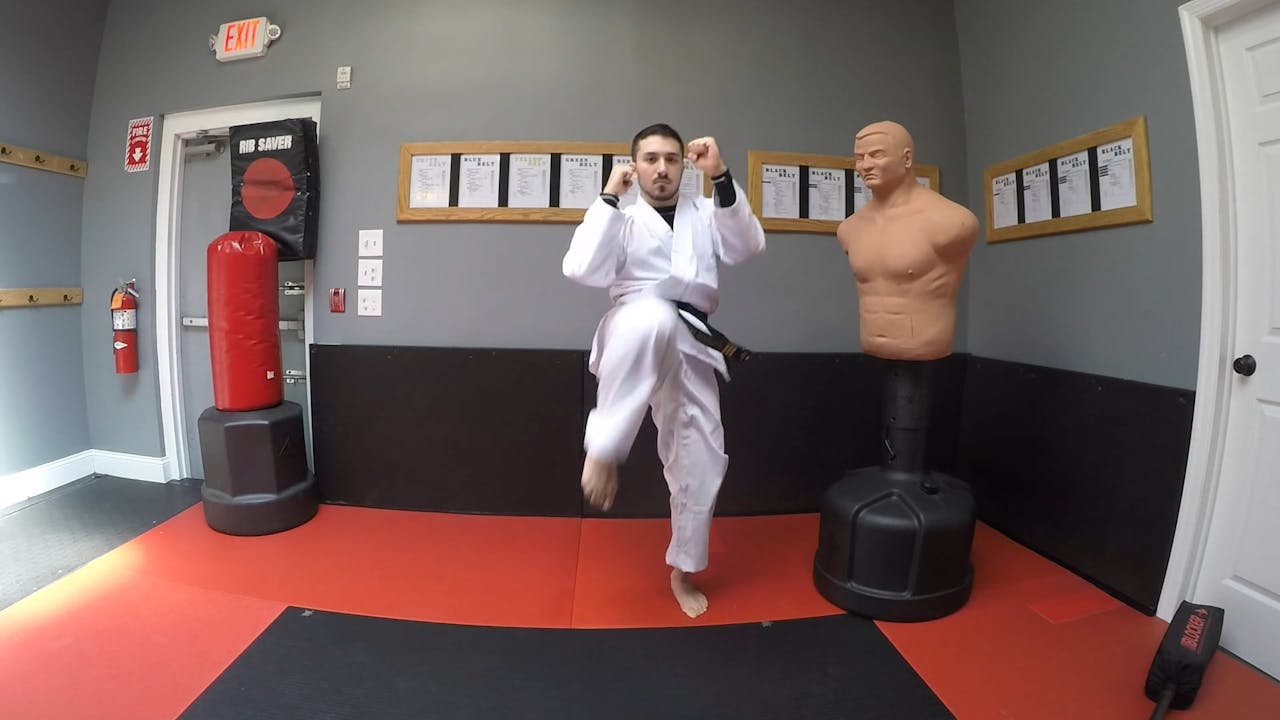 4-White Belt Kicks - White Belt/Orange Belt Requirements - BUSHIDO ...