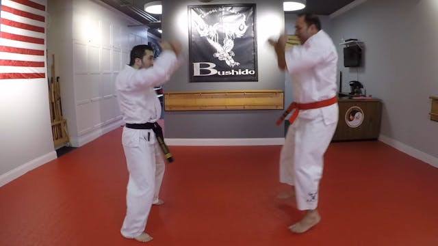 6-Self-defense Move #2