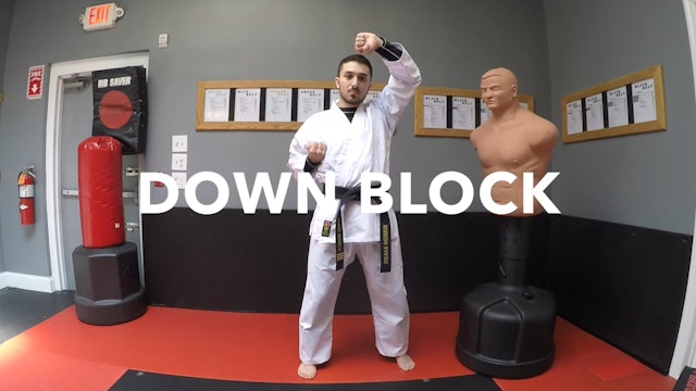 2-White Belt Blocks