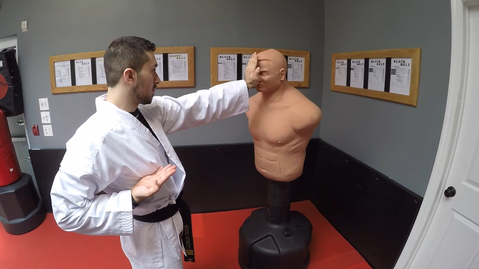 3- White Belt Strikes
